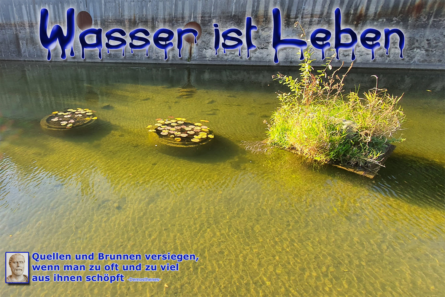Wasser ist Leben