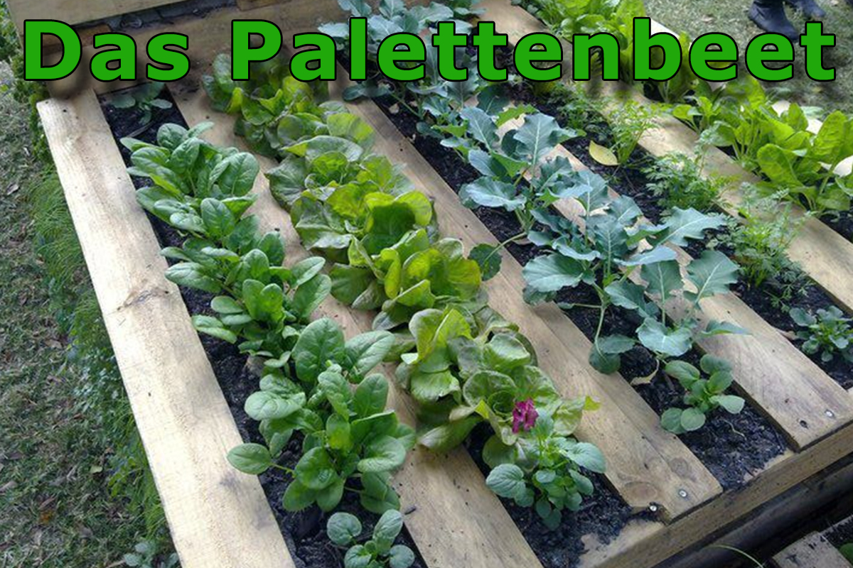 Palettenbeet horizontal